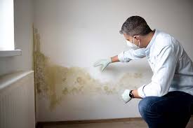 Trusted Abingdon, MD Mold Removal & Remediation Experts